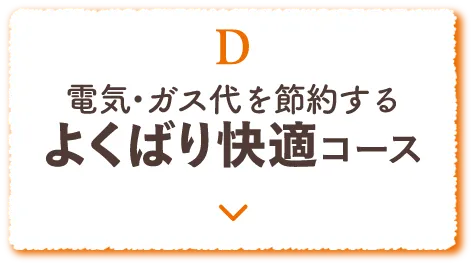 D よくばり快適コース