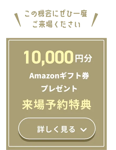 期間限定キャンペーン　300pt分 150万円相当のオプションプレゼント！