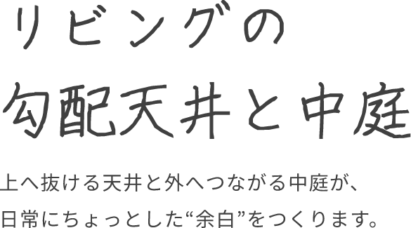 リビングの勾配天井と中庭
