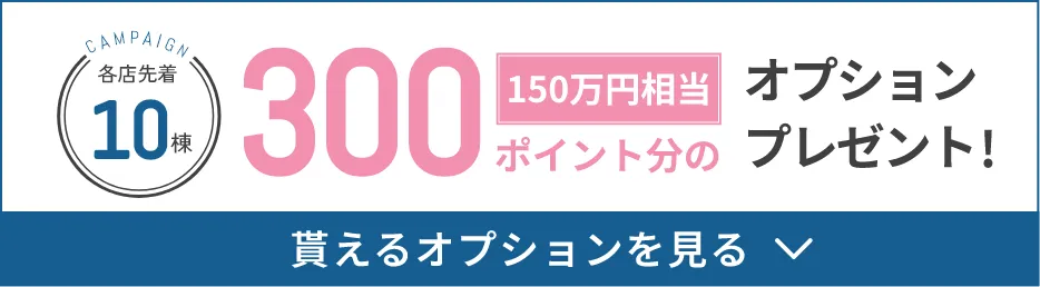 各店10棟限定 300ポイント分のオプションプレゼント！