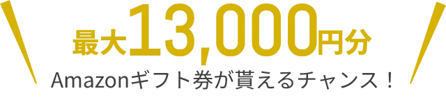 最大13,000円分