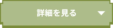 詳細を見る