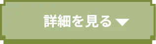 詳細を見る