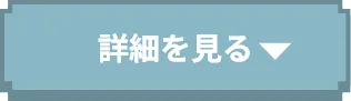 詳細を見る