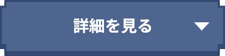 詳細を見る