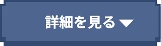 詳細を見る