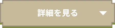 詳細を見る