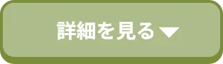 詳細を見る