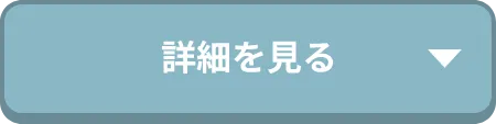 詳細を見る