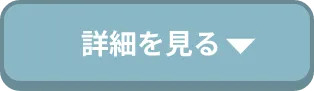 詳細を見る