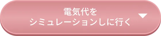 電気代をシミュレーションしに行く