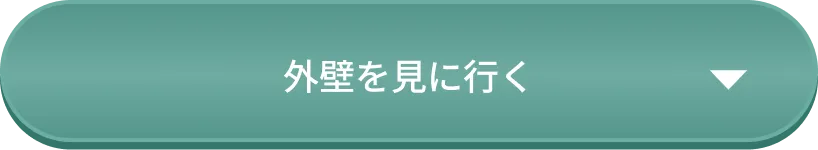 外壁を見に行く