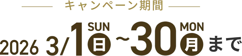 キャンペーン期間