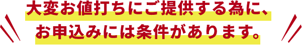 大変お値打ちにご提供する為に、お申込みには条件があります。