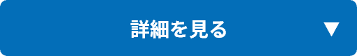 詳細を見る